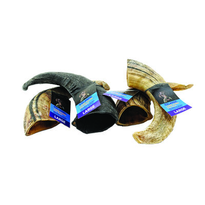 Icelandic+, Lamb Horn - Large - 6.5-7.3"