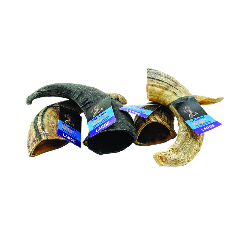 Icelandic+, Lamb Horn - Large - 6.5-7.3" image number null