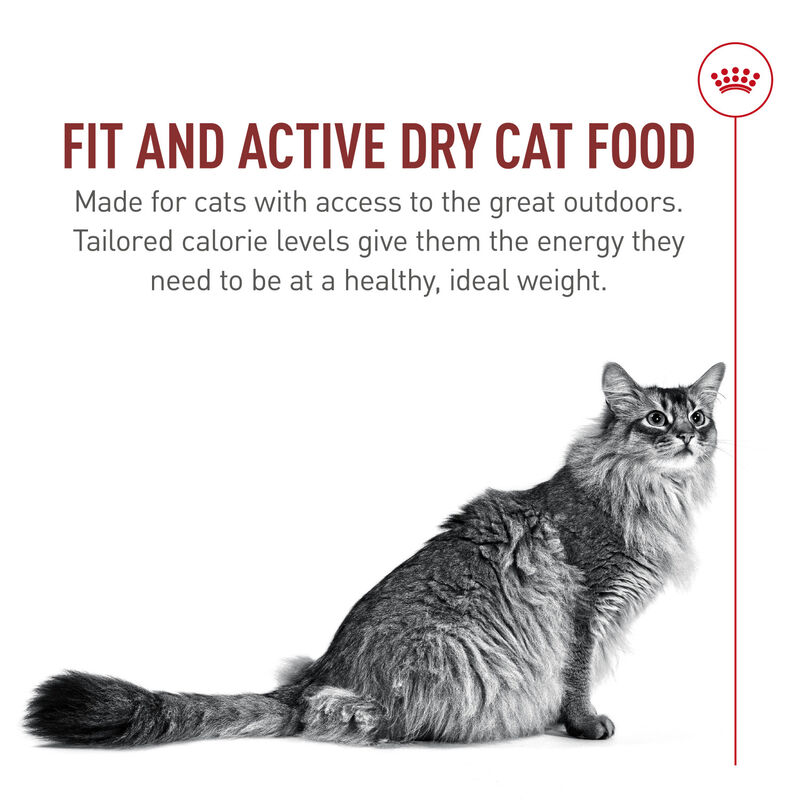 Royal Canin, Feline Health Nutrition Fit And Active Dry Adult - Dry Cat Food image number null