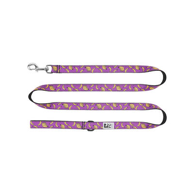 RC Pets, Dog Leash - Bananas - 6' - Dog Leash