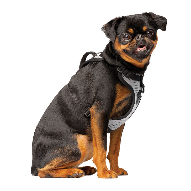 Canada Pooch, Everything Harness - Reflective Mesh - Dog Harness image number null