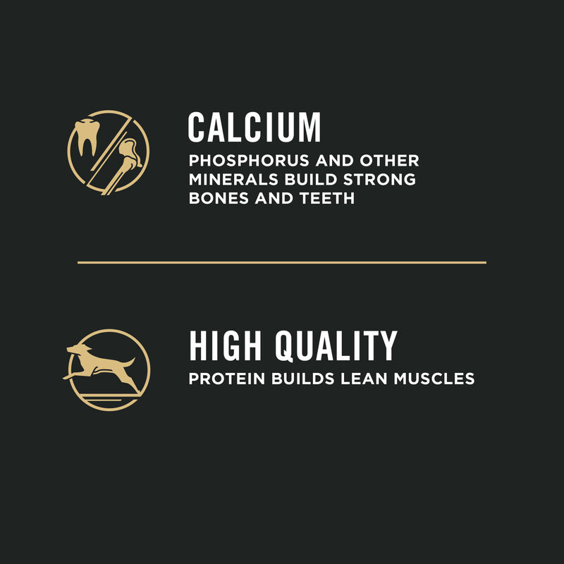 Purina Pro Plan Development Under One Year Puppy, Shredded Blend, Chicken & Rice Dry Dog Food Formul image number null
