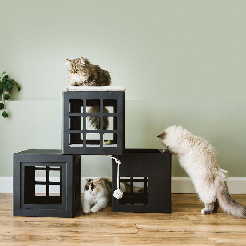 BeOneBreed, KATT KUBE Multi image number null