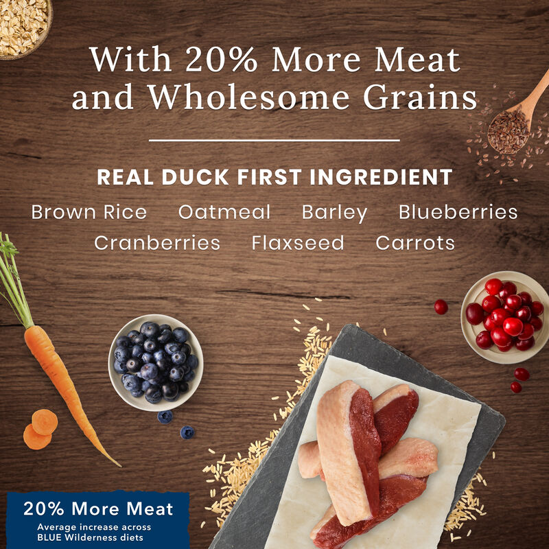 Blue Buffalo, Wilderness with More Meat & Wholesome Grains Adult Dog - Duck - Dry Dog Food image number null