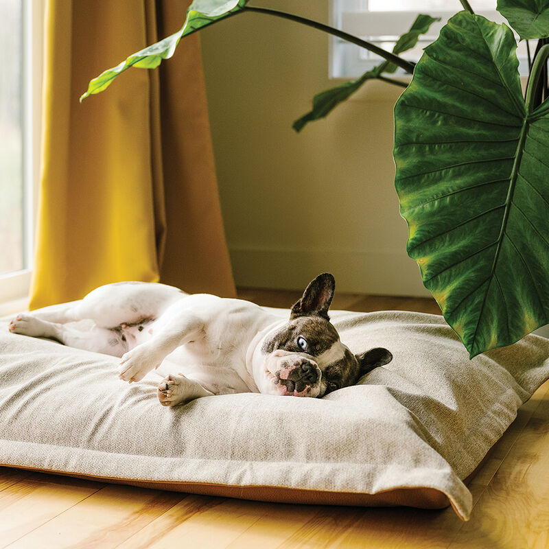 BeOneBreed, Cloud Pillow - Beige Faux Leather image number null