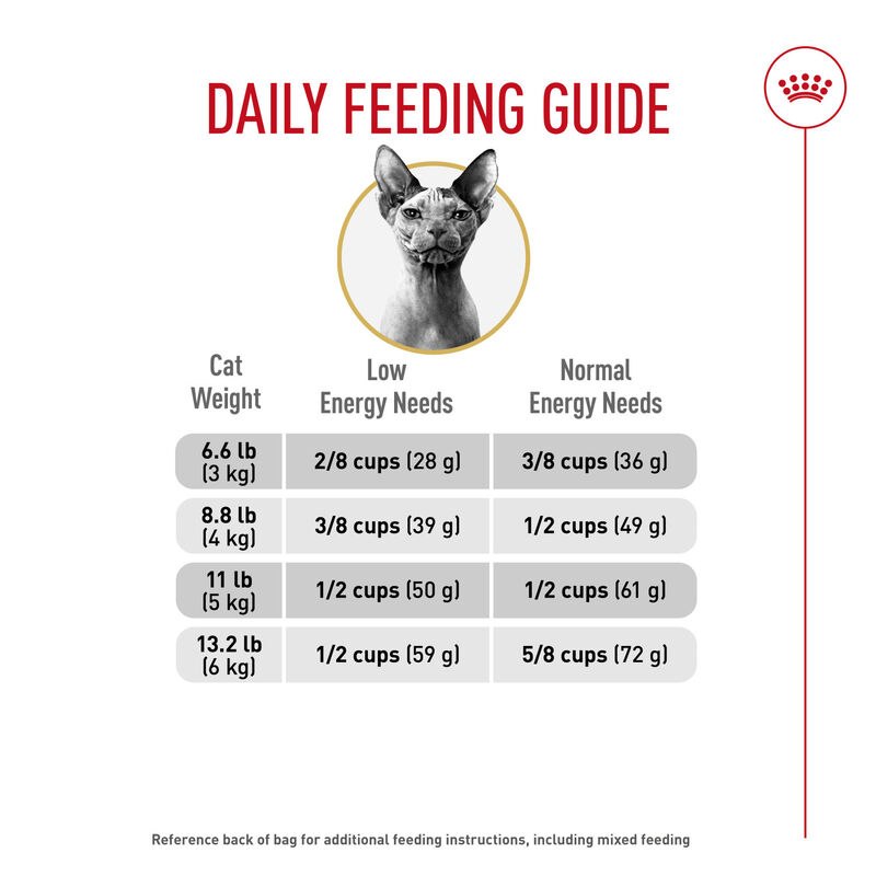 Royal Canin, Feline Breed Nutrition Sphynx - Dry Cat Food image number null