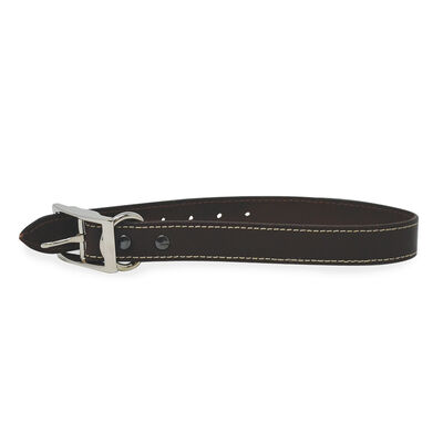 Rocky Brand, Collar - Leather Contrast Top Stitch - Brown