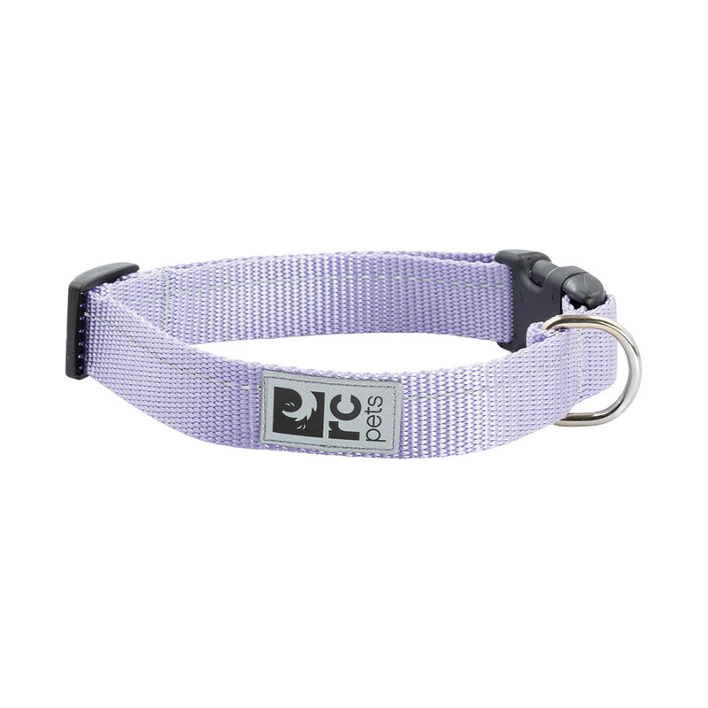 RC Pets, Primary Collar - Charcoal - 1" Width - Large - Dog Collar image number null