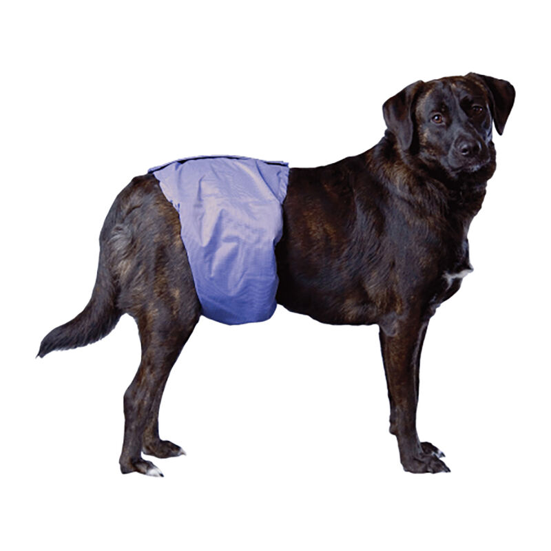 Pooch Pad, PoochPants - Male Wrap - Small - 12 - 15" image number null