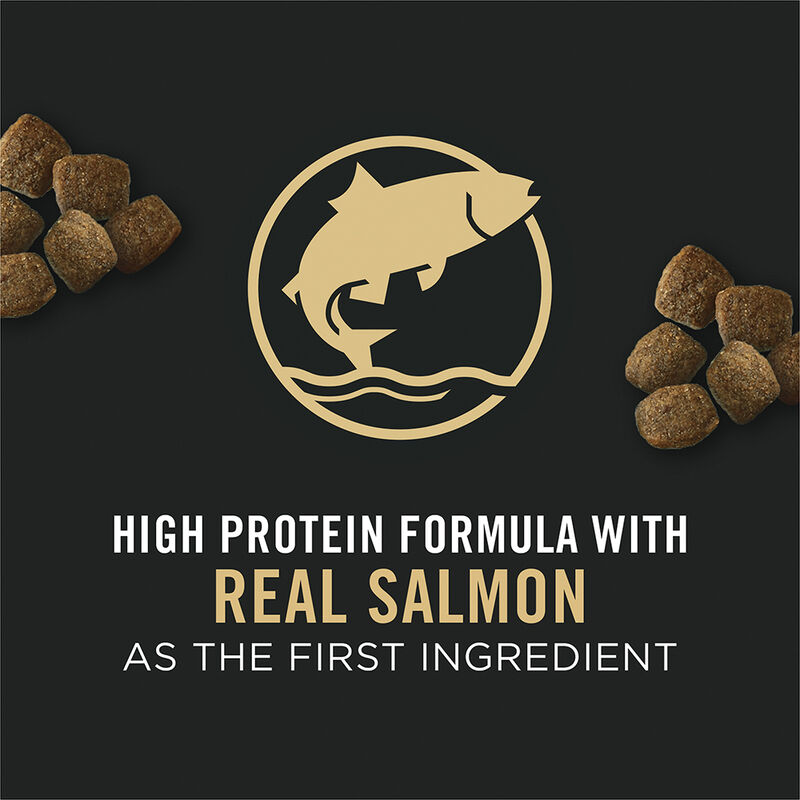 Pro Plan, Senior, Sensitive Skin & Stomach Slmn&Rice-10.9kg - Dry Dog Food image number null