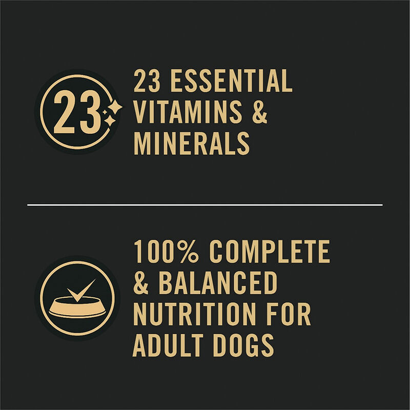 Pro Plan, Adult Sensitive Skin & Stomach - Salomn & Rice - 385 g - Wet Dog Food image number null