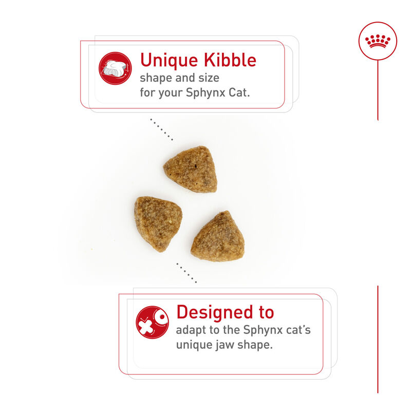 Royal Canin, Feline Breed Nutrition Sphynx - Dry Cat Food image number null