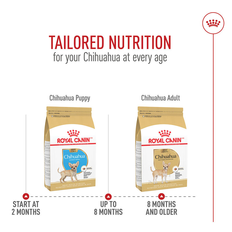 Royal Canin, Breed Health Nutrition Chihuahua Adult - Dry Dog Food image number null