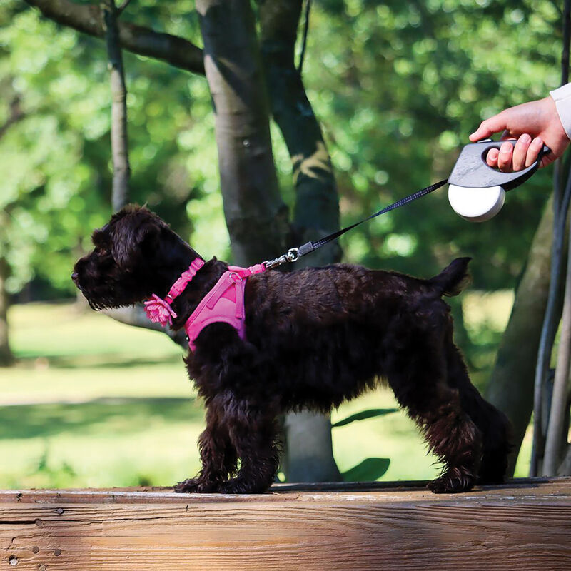 Microfiber Harness, Pink, X-Small - 3/8" x 8"-10" image number null