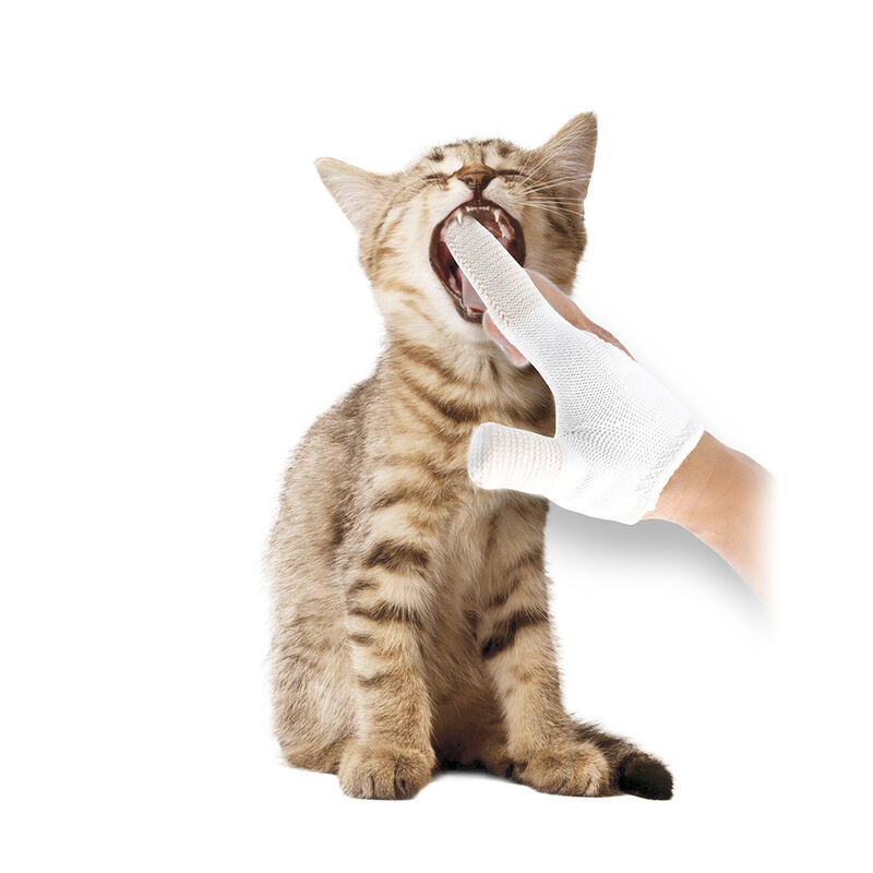 Wahl, Deluxe Dental Kit - Cat image number null
