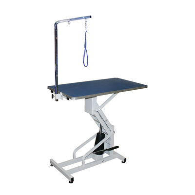 R. Rover, Hydraulic Table With Arm - 22-37" High - 44x22"