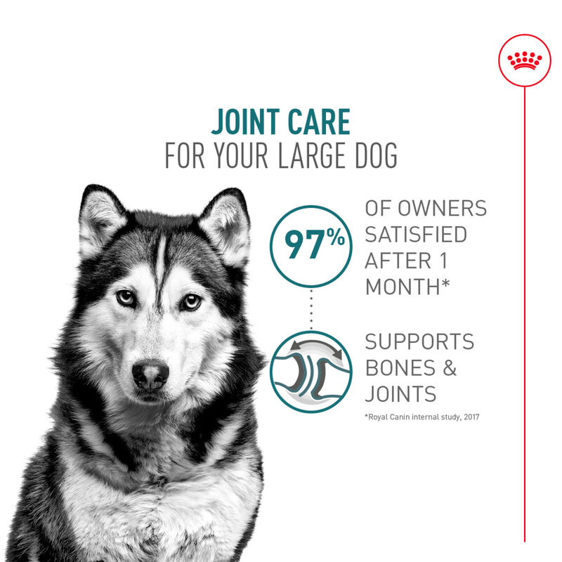 Royal Canin, Size Health Nutrition Large Joint Care - Dry Dog Food image number null