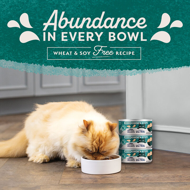 Natural Balance, Cat Can Indoor  - 5.5 oz - Wet Cat Food image number null