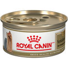 Royal Canin, Breed Health Nutrition Yorkshire Terrier Adult - Dry Dog Food image number null
