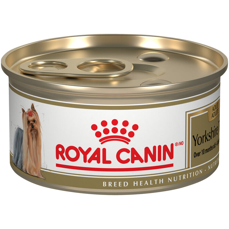 Royal Canin, Breed Health Nutrition Yorkshire Terrier Adult - Dry Dog Food image number null