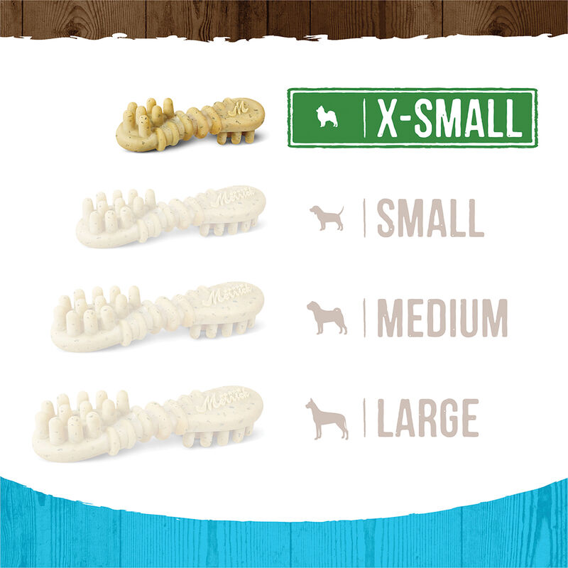 Merrick, Fresh Kisses Brush - Mint - Dog Treat image number null