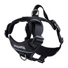 RC Pets, Harness - Momentum - Black - Dog Harness image number null