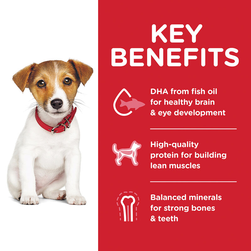 Science Diet, Puppy Small Bites Chicken Meal & Barley Recipe Dry Dog Food - Dry Dog Food image number null