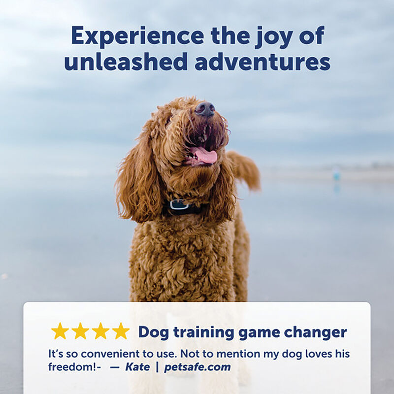 PetSafe, 300 m Lite Remote Trainer - 2 dogs image number null