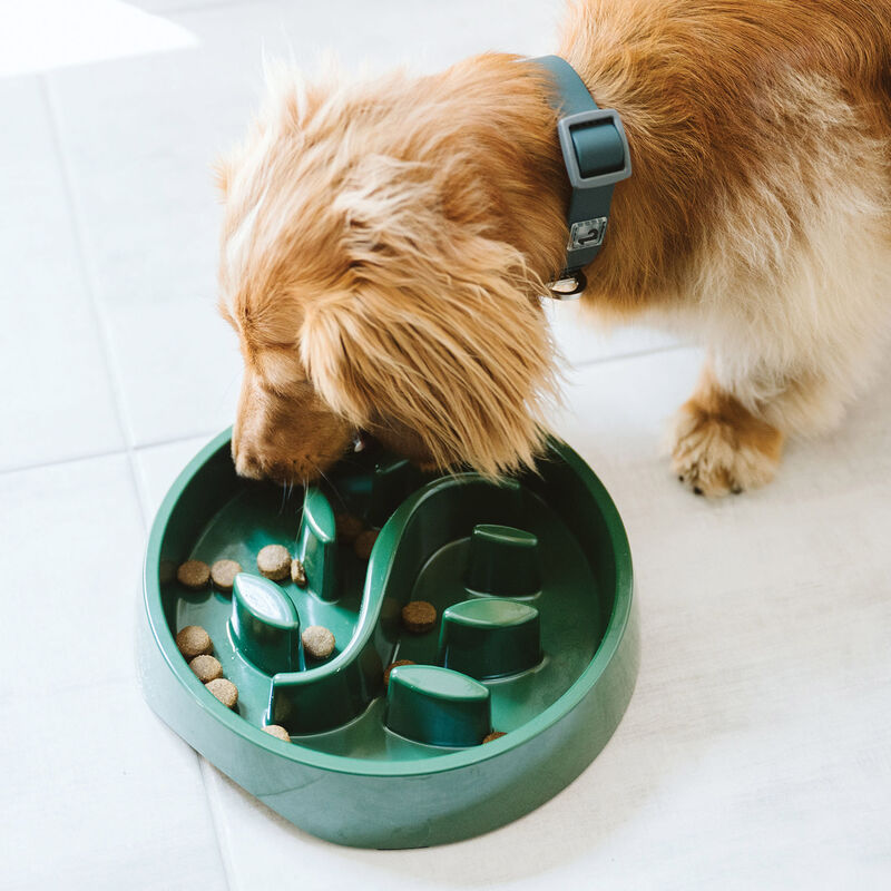 BeOneBreed, Botanical Slow Feeder - Green image number null