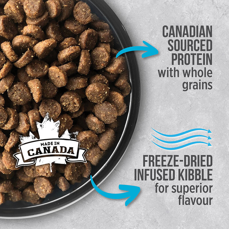 Nutrience, Adult Feline - Infusion - Fish - Dry Cat Food image number null