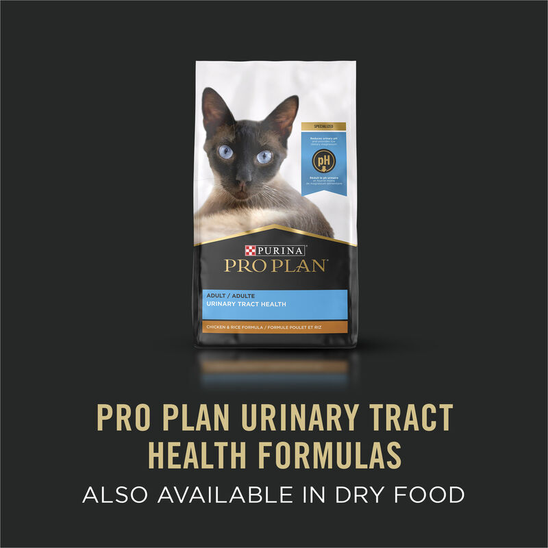 Purina Pro Plan Urinary Tract Health Turkey & Giblets Entr&eacute;e Classic Adult Wet Cat Food image number null