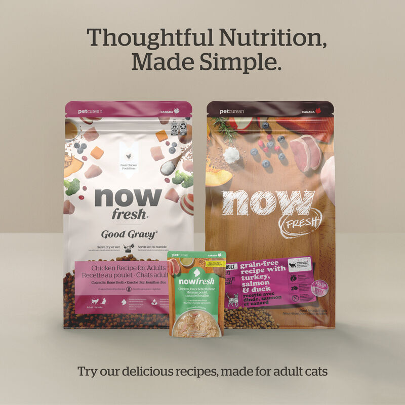 Good Gravy - Chicken Coated in Bone Broth - Dry Cat Food image number null