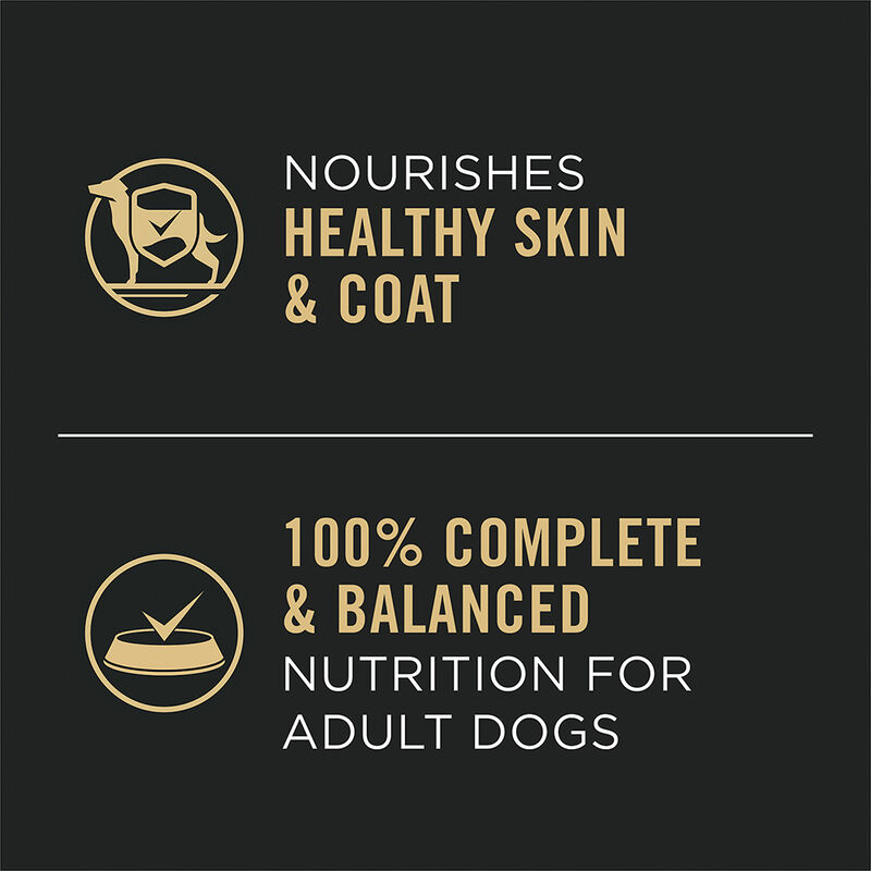 Pro Plan, Adult Complete Essentials - Lamb & Vegetables - 368 g - Wet Dog Food image number null