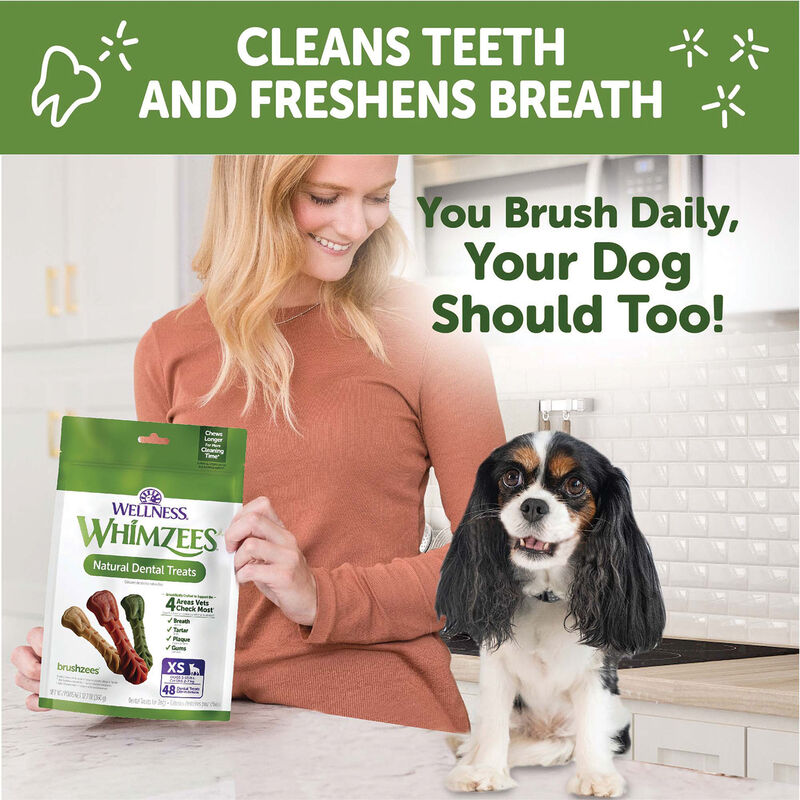 Whimzees, Dental Treat, Toothbrush Star Pouch - XS - 48 Pc image number null