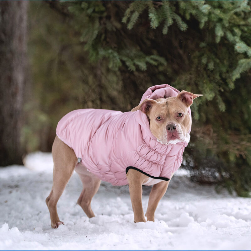 GF Pet, Lunar Glow Parka - Pink image number null