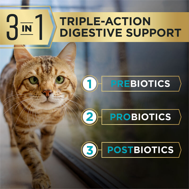 Pro Plan, AdvantEDGE - Digestive Support & Salmon - Dry Cat Food image number null