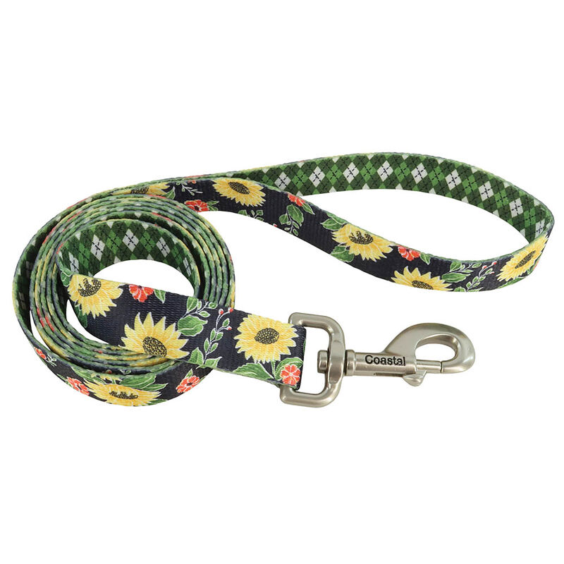 Dog Leash, Sunflower with Green Argyle, Medium/Large - 1" x 6' image number null