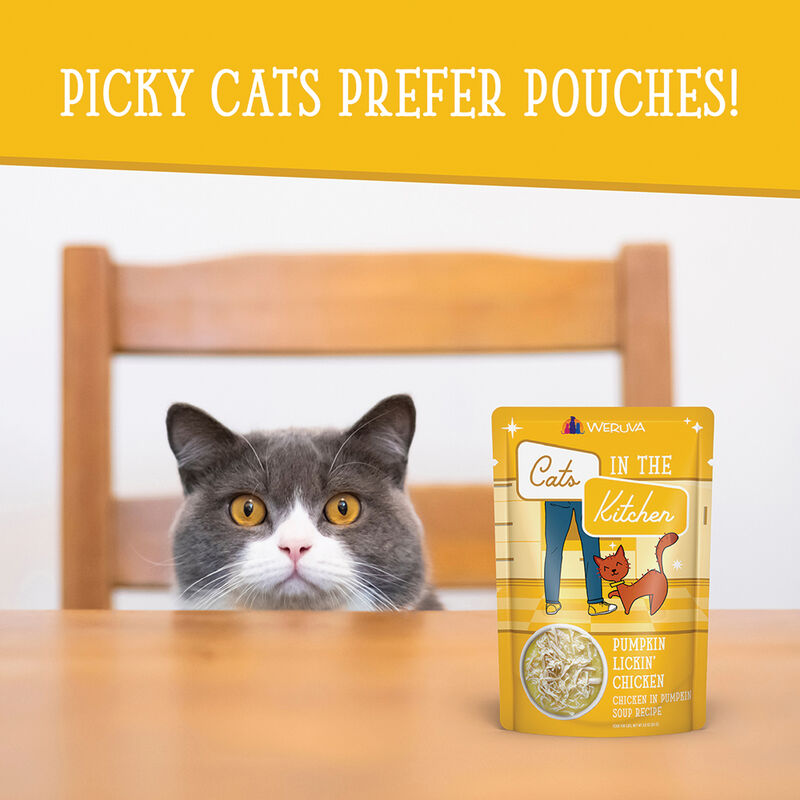Weruva, Pouch, Feline Adult - Pumpkin Lickin Chicken - 85 g - Shreds - Wet Cat Food image number null