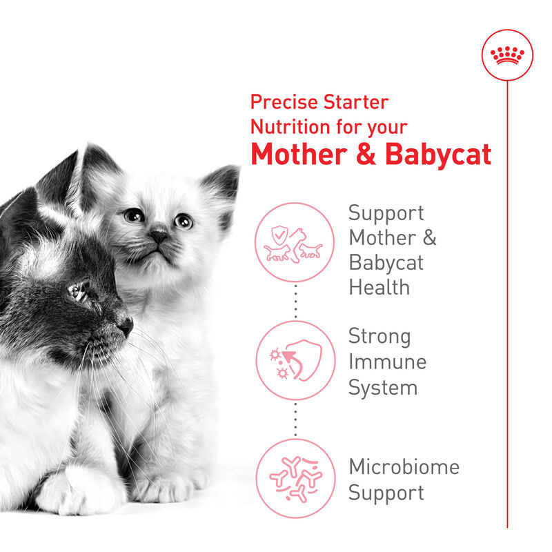 Royal Canin, Feline Health Nutrition - Mother & Babycat - Dry Cat Food image number null