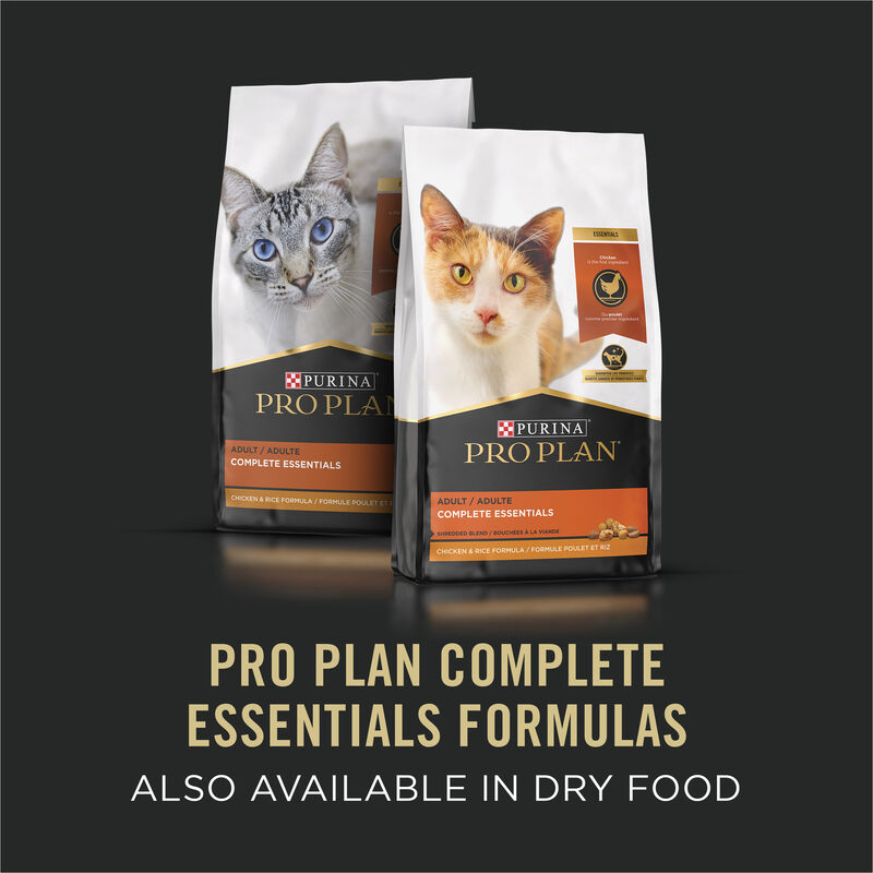 Purina Pro Plan Complete Essentials Chicken & Rice Entr&eacute;e in Gravy Adult Wet Cat Food 156g image number null