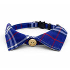Meow & Woof, Cat Shirt Collar image number null
