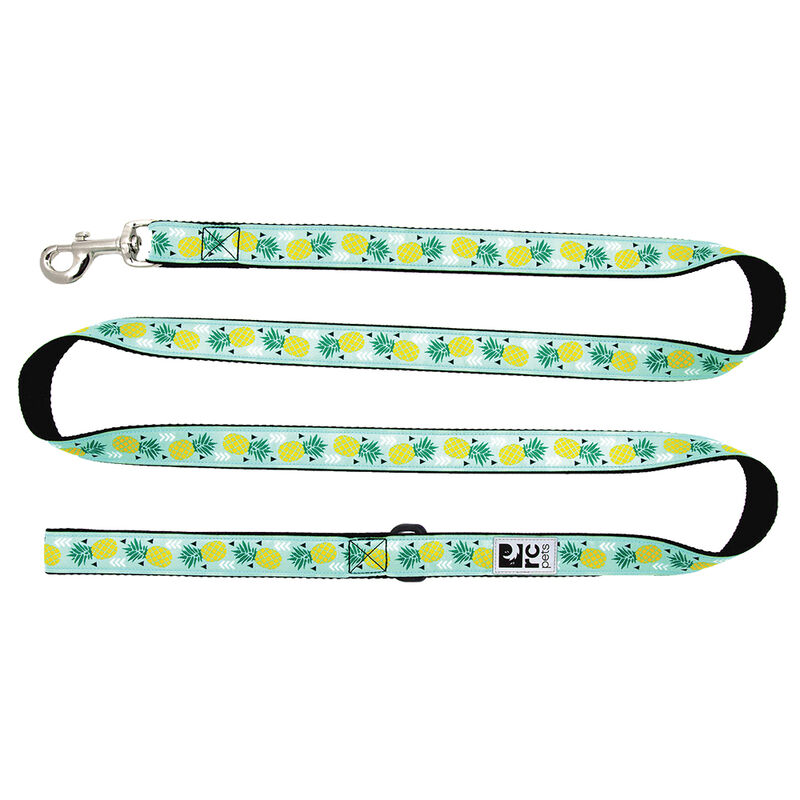 RC Pets, Leash - Pineapple Parade - 3/4" Width - 6' - Dog Leash image number null