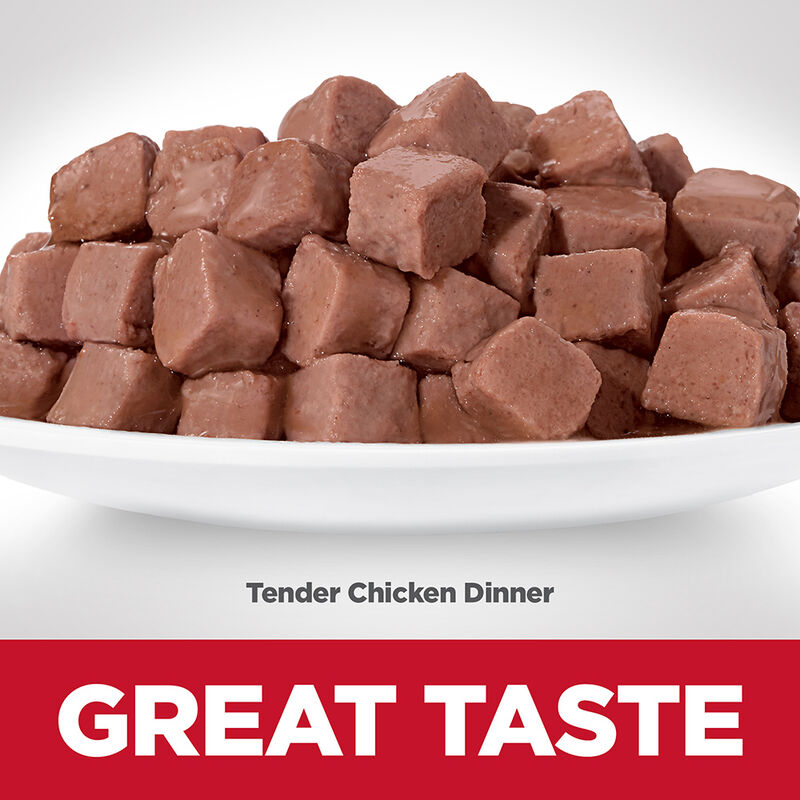 Science Diet, Kitten Tender Chicken Dinner Wet Cat Food - 80 g - Wet Cat Food image number null