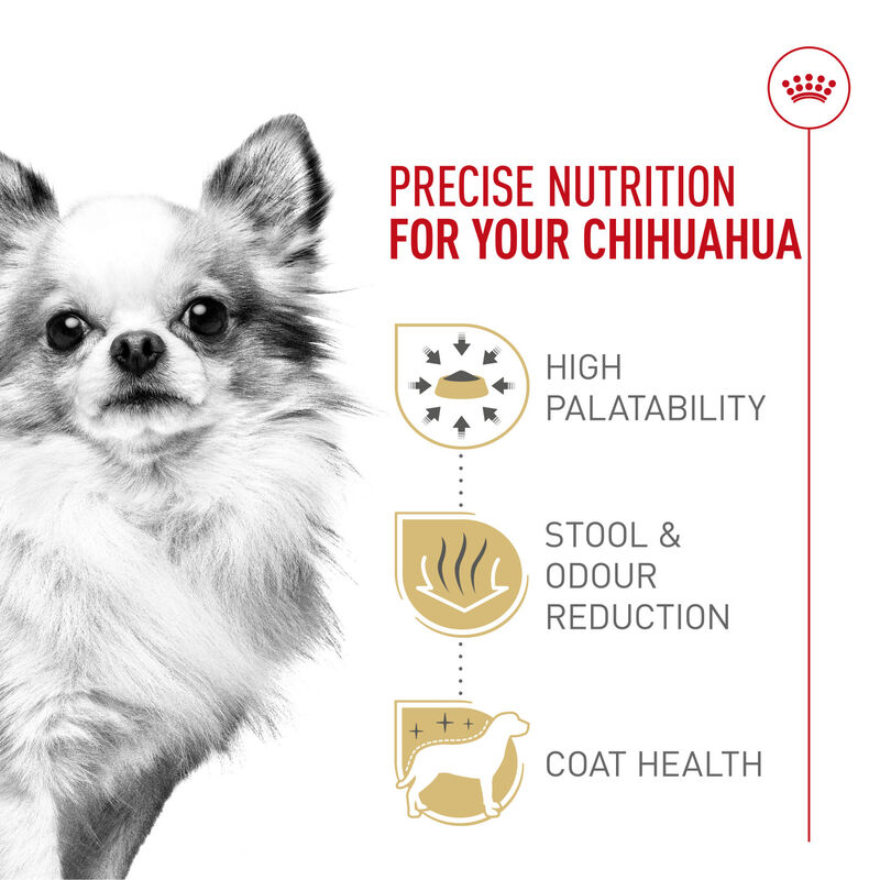 Royal Canin, Breed Health Nutrition Chihuahua Adult - Dry Dog Food image number null