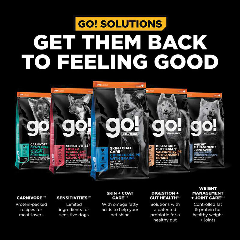 GO! SOLUTIONS SKIN + COAT CARE Chicken Recipe for dogs image number null