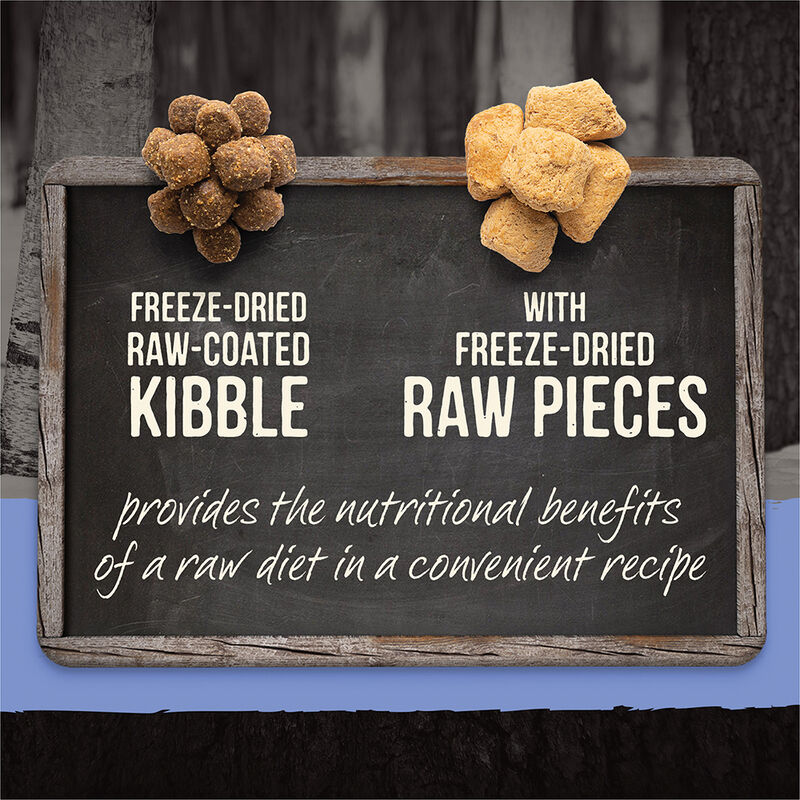 Merrick, Grain Free Backcountry Raw Infused Puppy - Dry Dog Food image number null