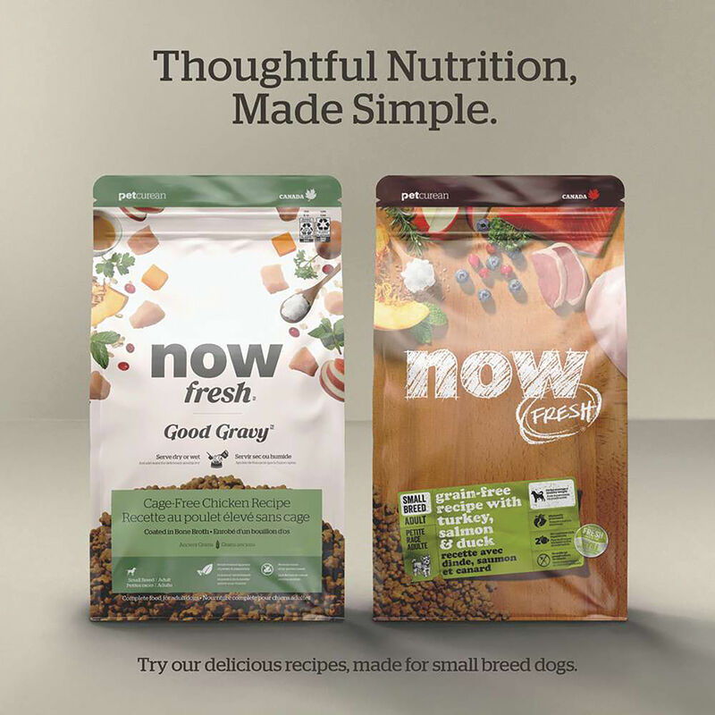 Good Gravy - Salmon Recipe with Ancient Grains - Adult Small Breed - Dry Dog Food image number null