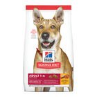 Science Diet, Adult Chicken & Barley Recipe Dry Dog Food, 15 lb Bag - Dry Dog Food image number null