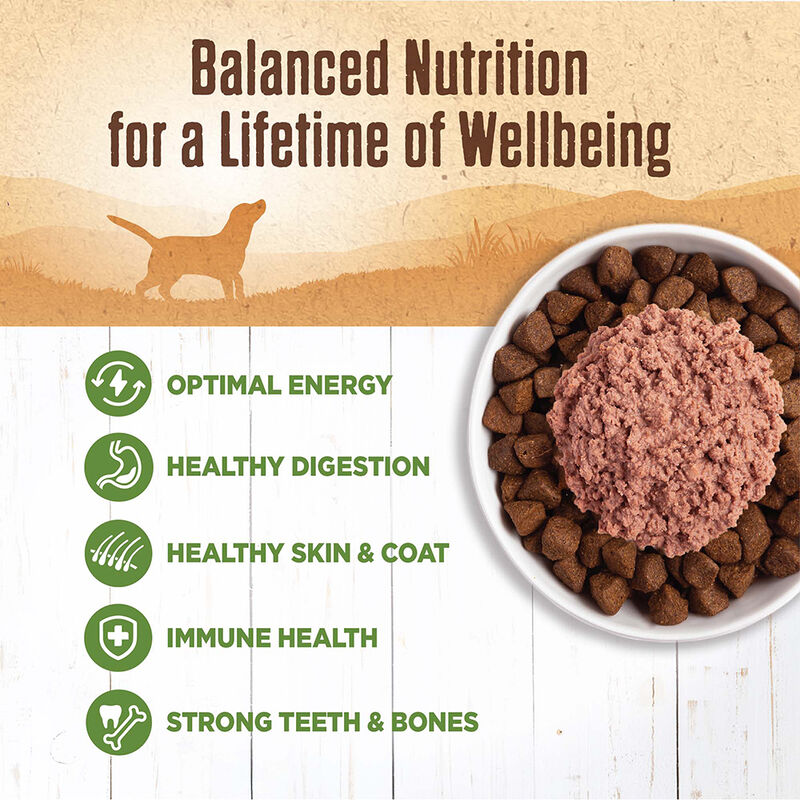 Wellness, Canned Dog Food, Mixers & Toppers, 95% Lamb - 13 oz - Wet Dog Food image number null