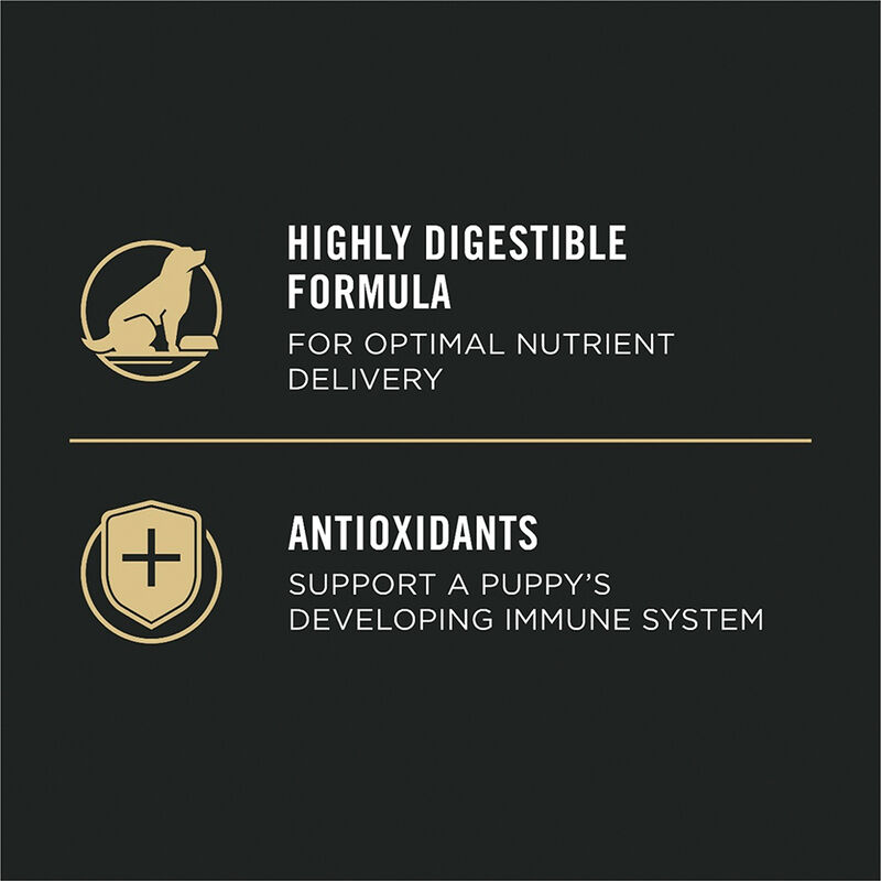 Pro Plan, Puppy, Sport Development 30/20 - Chicken&Rice - 10.9 kg - Dry Dog Food image number null